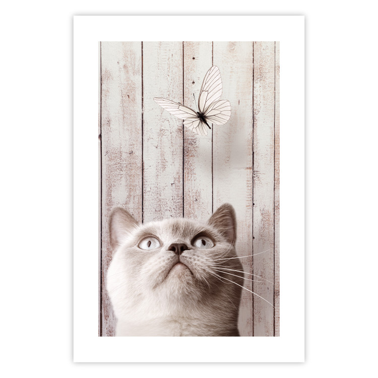 Poster Feline Nature - gray cat and flying butterfly on wooden planks 126223 additionalImage 25