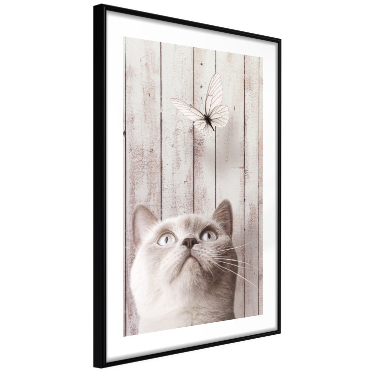 Poster Feline Nature - gray cat and flying butterfly on wooden planks 126223 additionalImage 11