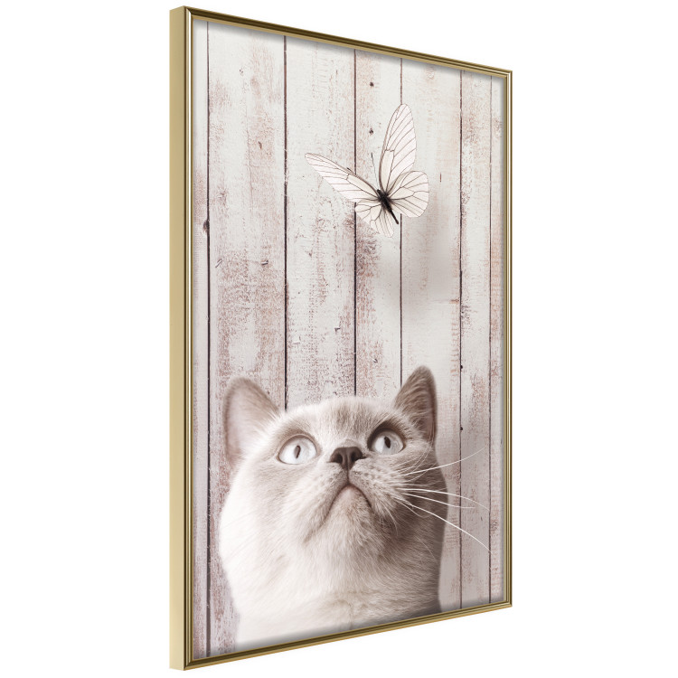 Poster Feline Nature - gray cat and flying butterfly on wooden planks 126223 additionalImage 12