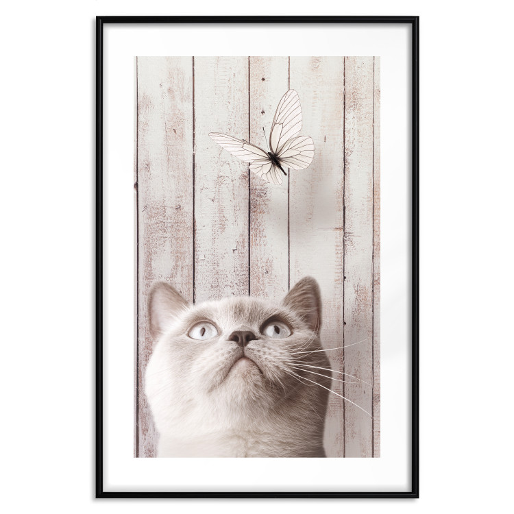 Poster Feline Nature - gray cat and flying butterfly on wooden planks 126223 additionalImage 17