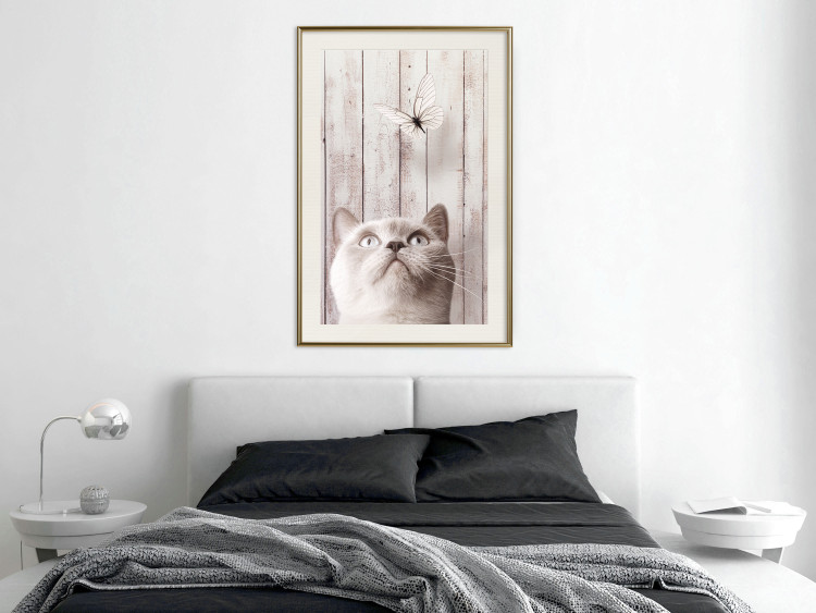 Poster Feline Nature - gray cat and flying butterfly on wooden planks 126223 additionalImage 21