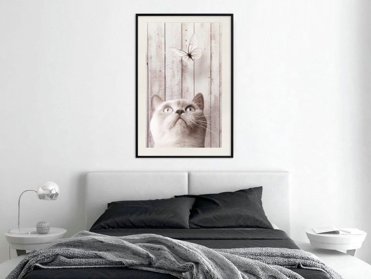Poster Feline Nature - gray cat and flying butterfly on wooden planks 126223 additionalImage 22