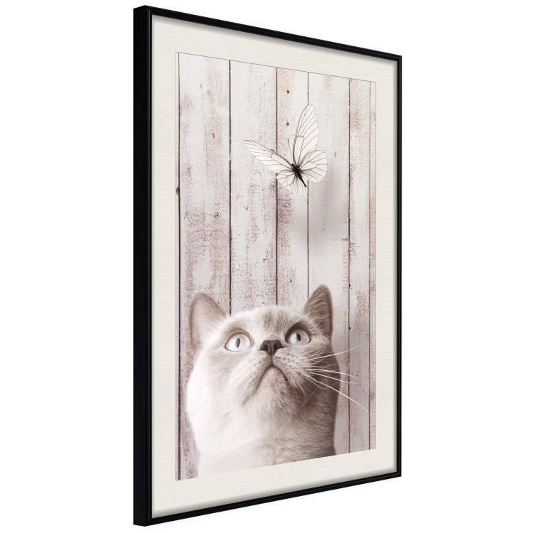 Poster Feline Nature - gray cat and flying butterfly on wooden planks 126223 additionalImage 3