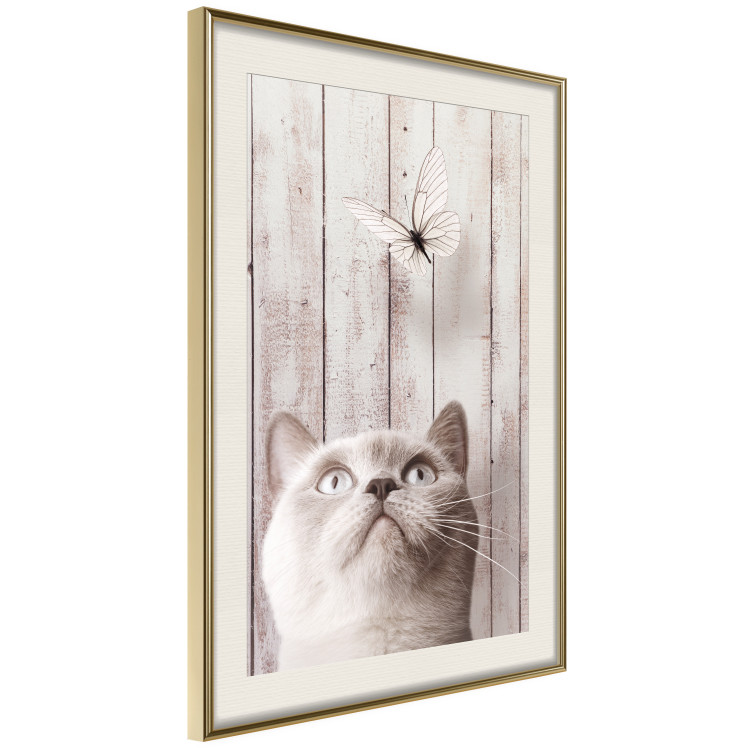 Poster Feline Nature - gray cat and flying butterfly on wooden planks 126223 additionalImage 2