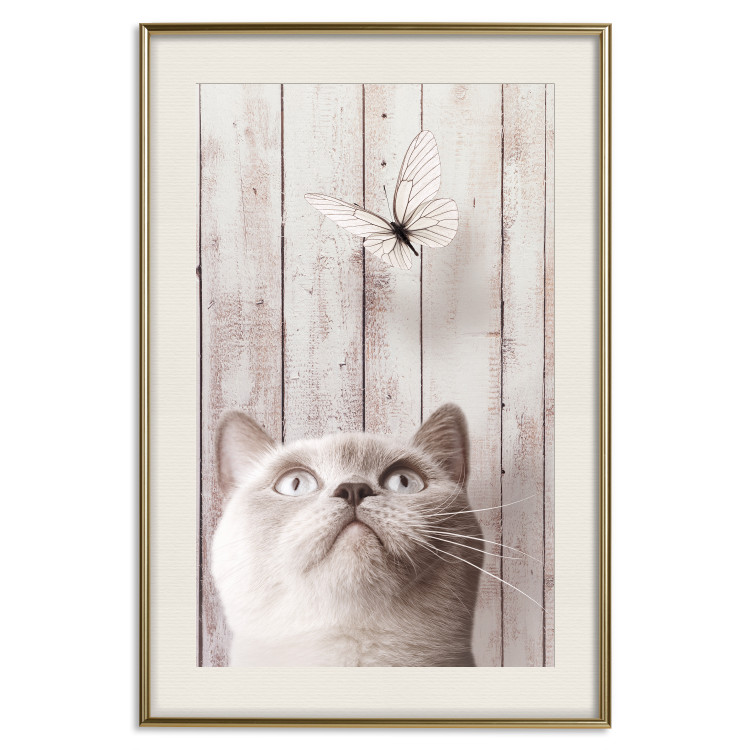 Poster Feline Nature - gray cat and flying butterfly on wooden planks 126223 additionalImage 19