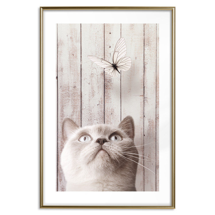 Poster Feline Nature - gray cat and flying butterfly on wooden planks 126223 additionalImage 14