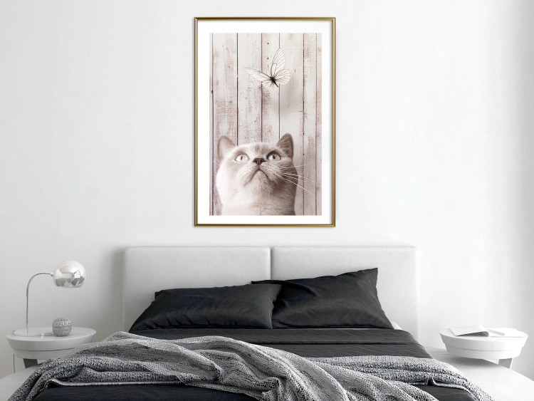 Poster Feline Nature - gray cat and flying butterfly on wooden planks 126223 additionalImage 13