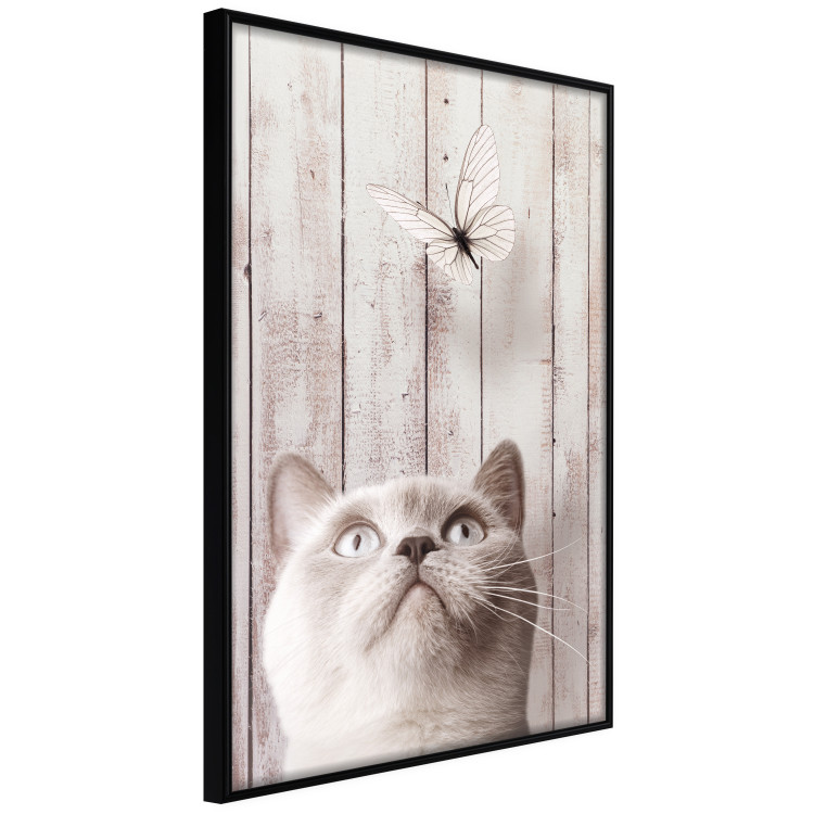 Poster Feline Nature - gray cat and flying butterfly on wooden planks 126223 additionalImage 12