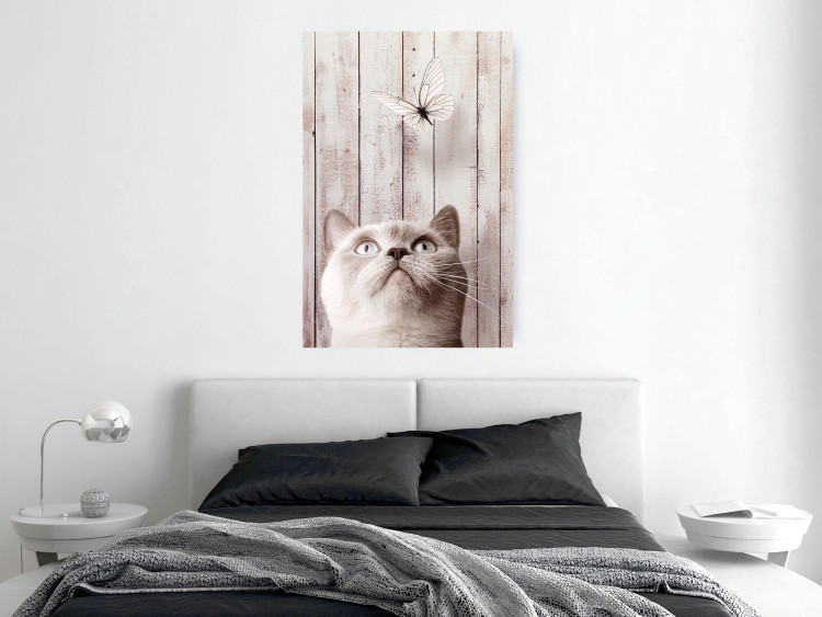 Poster Feline Nature - gray cat and flying butterfly on wooden planks 126223 additionalImage 23