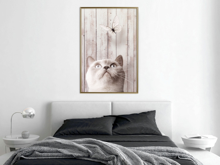 Poster Feline Nature - gray cat and flying butterfly on wooden planks 126223 additionalImage 5
