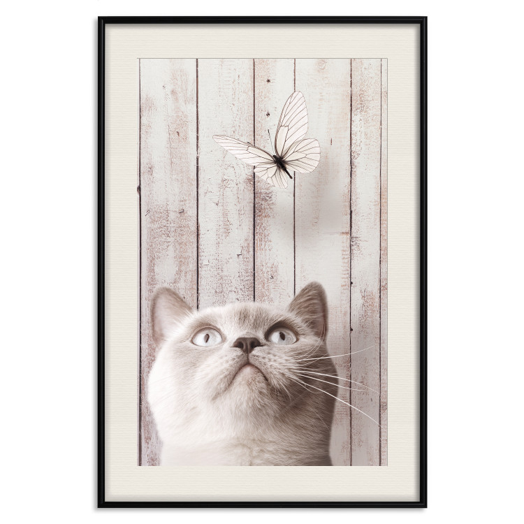 Poster Feline Nature - gray cat and flying butterfly on wooden planks 126223 additionalImage 18