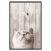 Poster Feline Nature - gray cat and flying butterfly on wooden planks 126223 additionalThumb 24