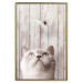 Poster Feline Nature - gray cat and flying butterfly on wooden planks 126223 additionalThumb 20