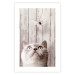 Poster Feline Nature - gray cat and flying butterfly on wooden planks 126223 additionalThumb 19