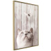 Poster Feline Nature - gray cat and flying butterfly on wooden planks 126223 additionalThumb 14