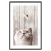 Poster Feline Nature - gray cat and flying butterfly on wooden planks 126223 additionalThumb 17