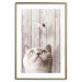 Poster Feline Nature - gray cat and flying butterfly on wooden planks 126223 additionalThumb 14