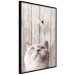 Poster Feline Nature - gray cat and flying butterfly on wooden planks 126223 additionalThumb 10