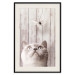 Poster Feline Nature - gray cat and flying butterfly on wooden planks 126223 additionalThumb 18