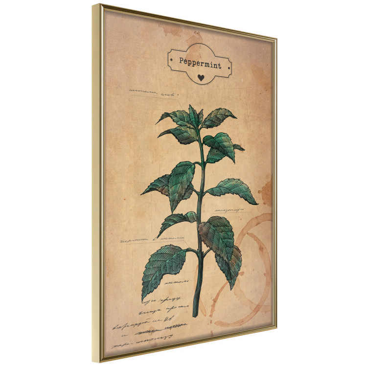 Poster Mint Fantasy - composition with green plant and sheet of paper in background 129423 additionalImage 14