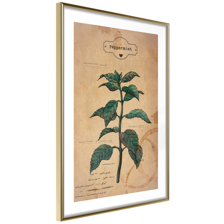 Poster Mint Fantasy - composition with green plant and sheet of paper in background 129423 additionalImage 7
