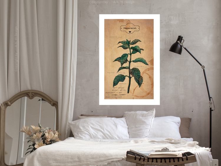 Poster Mint Fantasy - composition with green plant and sheet of paper in background 129423 additionalImage 5
