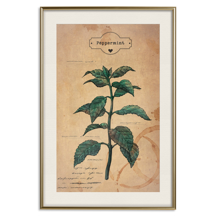 Poster Mint Fantasy - composition with green plant and sheet of paper in background 129423 additionalImage 25