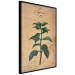 Poster Mint Fantasy - composition with green plant and sheet of paper in background 129423 additionalThumb 11