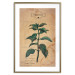 Poster Mint Fantasy - composition with green plant and sheet of paper in background 129423 additionalThumb 26