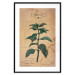 Poster Mint Fantasy - composition with green plant and sheet of paper in background 129423 additionalThumb 27