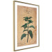 Poster Mint Fantasy - composition with green plant and sheet of paper in background 129423 additionalThumb 9