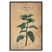 Poster Mint Fantasy - composition with green plant and sheet of paper in background 129423 additionalThumb 20