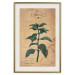 Poster Mint Fantasy - composition with green plant and sheet of paper in background 129423 additionalThumb 25