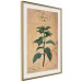 Poster Mint Fantasy - composition with green plant and sheet of paper in background 129423 additionalThumb 3