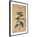 Poster Mint Fantasy - composition with green plant and sheet of paper in background 129423 additionalThumb 6