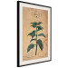 Poster Mint Fantasy - composition with green plant and sheet of paper in background 129423 additionalThumb 2