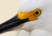 Canvas Snowy Egret (1-piece) Wide - white bird with a yellow element 129823 additionalThumb 5