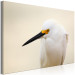 Canvas Snowy Egret (1-piece) Wide - white bird with a yellow element 129823 additionalThumb 2