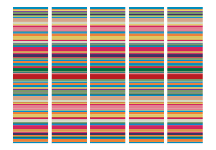 Folding Screen Muted Stripes II (5-piece) - composition with colorful horizontal stripes 133423 additionalImage 3