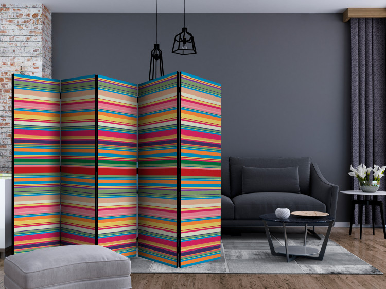 Folding Screen Muted Stripes II (5-piece) - composition with colorful horizontal stripes 133423 additionalImage 4