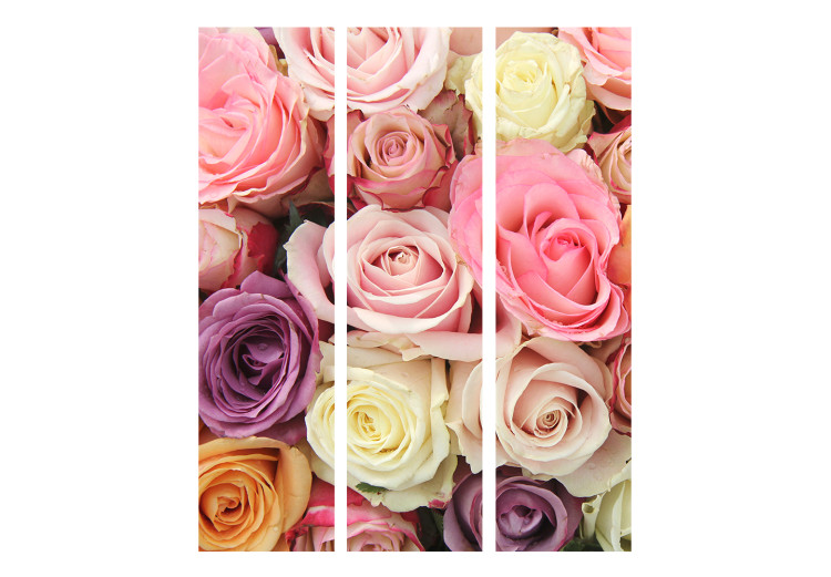 Room Separator Pastel Roses - romantic and colorful landscape of a bouquet of pastel roses 133923 additionalImage 3