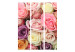 Room Separator Pastel Roses - romantic and colorful landscape of a bouquet of pastel roses 133923 additionalThumb 3