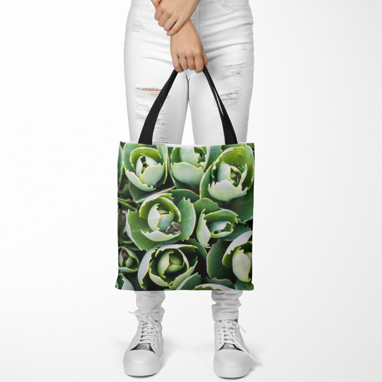 Shopping Bag Shy succulents - a floral composition with rich detailing 147423 additionalImage 2