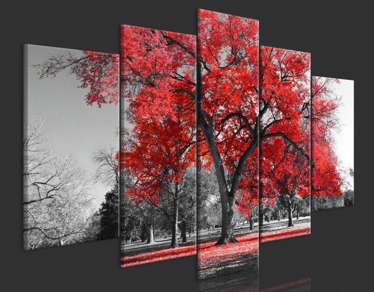 Acrylic print Autumn in the Park - Red [Glass] 150623 additionalImage 6