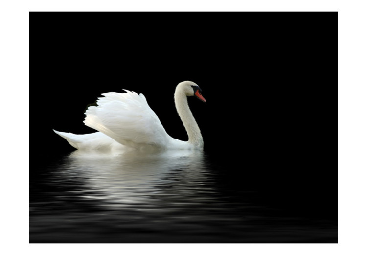 Wall Mural Swan (black and white) 61323 additionalImage 1