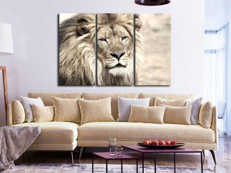 Canvas Print Lion King (3-part) Beige - Lion as Ruler of African Lands 108233 additionalImage 3