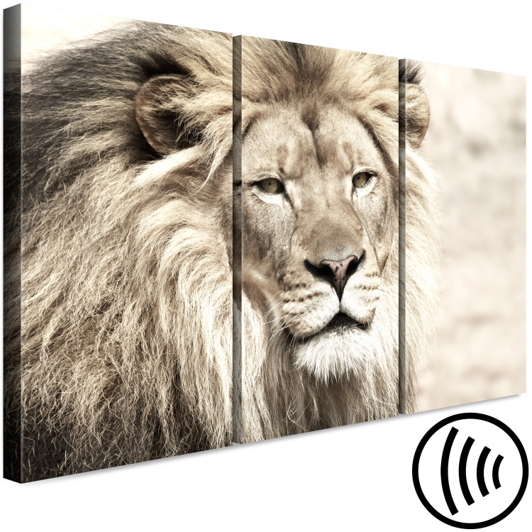 Canvas Print Lion King (3-part) Beige - Lion as Ruler of African Lands 108233 additionalImage 6