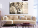 Canvas Print Lion King (3-part) Beige - Lion as Ruler of African Lands 108233 additionalThumb 3