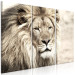 Canvas Print Lion King (3-part) Beige - Lion as Ruler of African Lands 108233 additionalThumb 2