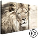Canvas Print Lion King (3-part) Beige - Lion as Ruler of African Lands 108233 additionalThumb 6